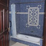 2009-04 Naivasha Hells Gate 6