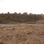 2013-07 Masai Mara 34