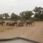 2013-07 Masai Mara 46