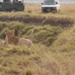 2013-07 Masai Mara 9