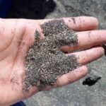 2014-06 Dolan Springs Gold Mine 109