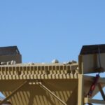 2014-06 Dolan Springs Gold Mine 31