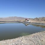 2014-06 Dolan Springs Gold Mine 5