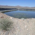 2014-06 Dolan Springs Gold Mine 6