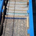 2014-06 Dolan Springs Gold Mine 72