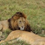 2018-07 Ngorongoro 14