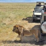 2018-07 Ngorongoro 19