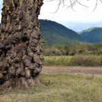 2018-07 Ngorongoro 3