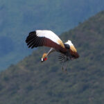 2018-07 Ngorongoro 35