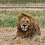 2018-07 Ngorongoro 59