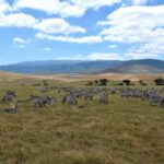 2018-07 Ngorongoro 6