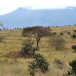 2018-07 Taita Hills Salt Lick 19