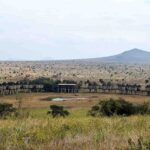 2018-07 Taita Hills Salt Lick 23