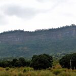 2018-07 Taita Hills Salt Lick 24