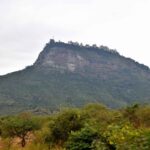 2018-07 Taita Hills Salt Lick 25