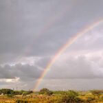 2018-07 Taita Hills Salt Lick 26