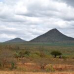 2018-07 Taita Hills Salt Lick 4