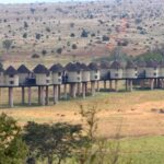 2018-07 Taita Hills Salt Lick 91