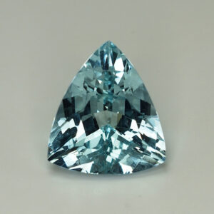 Aquamarine_drop_trill_14.2x12.6mm_5.87cts_N_AQ171_crop.jpg