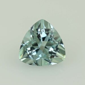 Aquamarine trill 10.0x9.8mm 3.05cts N aq272