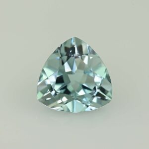 Aquamarine trill 11.4mm 4.31cts N aq274