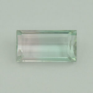 BiColorTourmaline bag 11.6x6.0mm 2.74cts N tm1052
