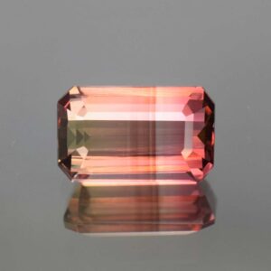 BiColorTourmaline eme cut 10.0x6.0mm 2.29cts N tm999 SOLD
