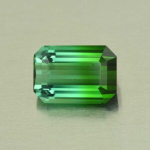 BiColorTourmaline eme cut 12.9x8.9mm 6.70cts N tm1632 SOLD
