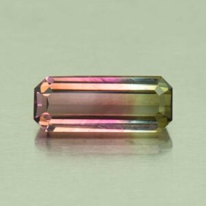 BiColorTourmaline eme cut 14.3x5.9mm 3.98cts N tm1637 SOLD