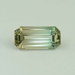 BiColorTourmaline eme cut 17.0x8.0mm 8.39cts N tm1635 a scaled 1