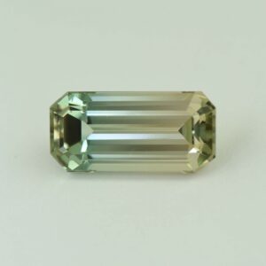 BiColorTourmaline eme cut 17.0x8.0mm 8.39cts N tm1635 b scaled 1