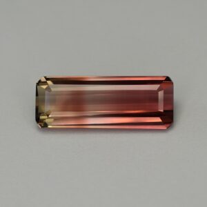 BiColorTourmaline eme cut 17.7x6.7mm 5.41cts N tm 1184