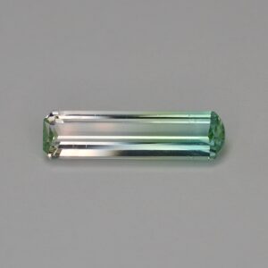 BiColorTourmaline eme cut dome 18.5x5.0mm 3.50cts N tm1053