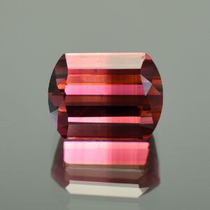 BiColorTourmaline lozenge 15.2x11.5mm 14.72cts N tm1039