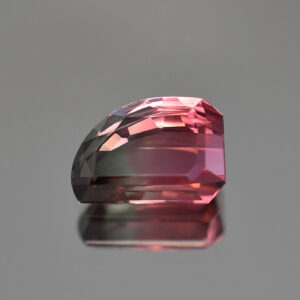 BiColorTourmaline sail 11.5x8.0mm 3.89cts N tm1198 d crop