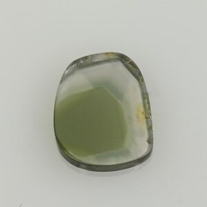 BiColorTourmaline slice 8.6x7.2mm 1.46cts N tm1698 a