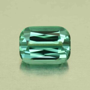 BlueGreenTourmaline cush 12.0x9.0mm 6.26cts N tm1682 SOLD