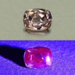 CCDragonGarnet cush 5.2x4.1mm 0.51cts N cc443 combo UV