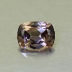 CCDragonGarnet cush 5.2x4.1mm 0.51cts N cc443 primary