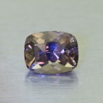 CCDragonGarnet cush 5.4x4.2mm 0.67cts N cc445 primary