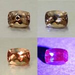 CCDragonGarnet cush 5.9x4.4mm 0.84cts N cc447 comboAll