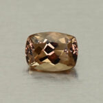 CCDragonGarnet cush 5.9x4.4mm 0.84cts N cc447 day