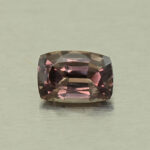CCDragonGarnet cush 6.2x4.3mm 0.78cts N cc448 day