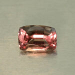 CCDragonGarnet cush 6.2x4.3mm 0.78cts N cc448 secondary