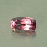 CCDragonGarnet cush 6.3x3.7mm 0.70cts N cc449 secondary