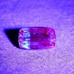 CCDragonGarnet cush 6.7x4.2mm 0.79cts N cc450 UV