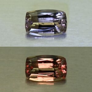 CCDragonGarnet cush 6.7x4.2mm 0.79cts N cc450 combo