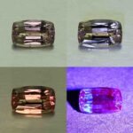 CCDragonGarnet cush 6.7x4.2mm 0.79cts N cc450 comboAll
