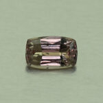 CCDragonGarnet cush 6.7x4.2mm 0.79cts N cc450 day
