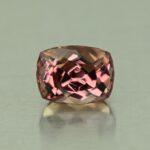 CCDragonGarnet cush 7.1x5.4mm 1.74cts N cc452 day